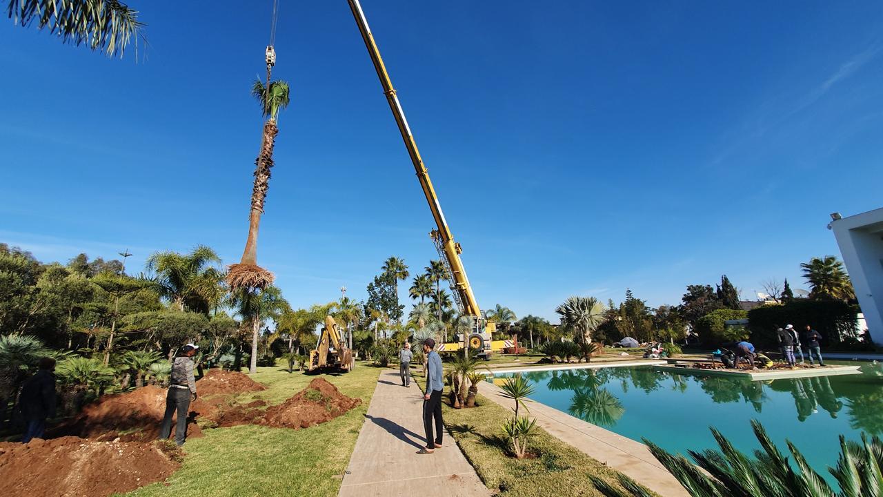 Service technique et maintenance de grue au Maroc - SM Grue